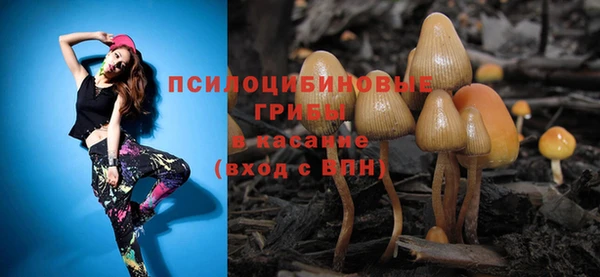 синтетический гашиш Белокуриха