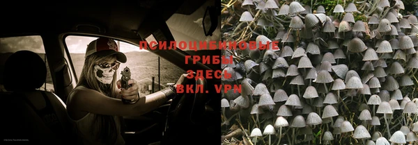 синтетический гашиш Белокуриха